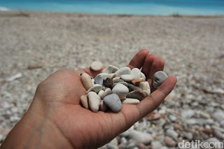  KISAH ANAK ANAK PEMOTRET ULUNG  DARI KUPANG YANG MENYENANGKAN