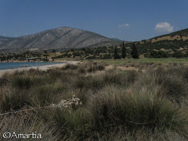 Salanti Argolide Peloponnese Grèce