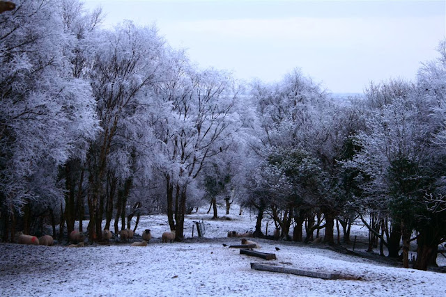 Snow in Connemara© Annie Japaud 2013, Connemara, snow, photography, nature, landscape, Ireland 