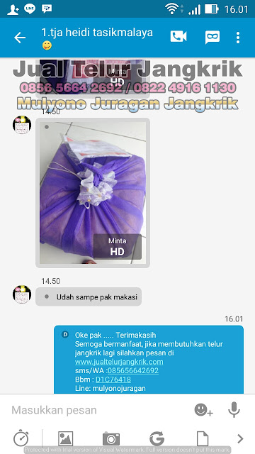 JUAL TELUR JANGKRIK testimoni PART3 dari pelanggan