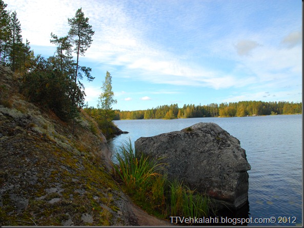 ötökät ikkunssa haukijärvi keloja 035