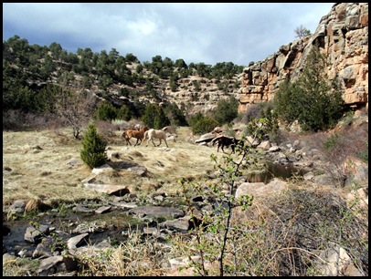 P4220358