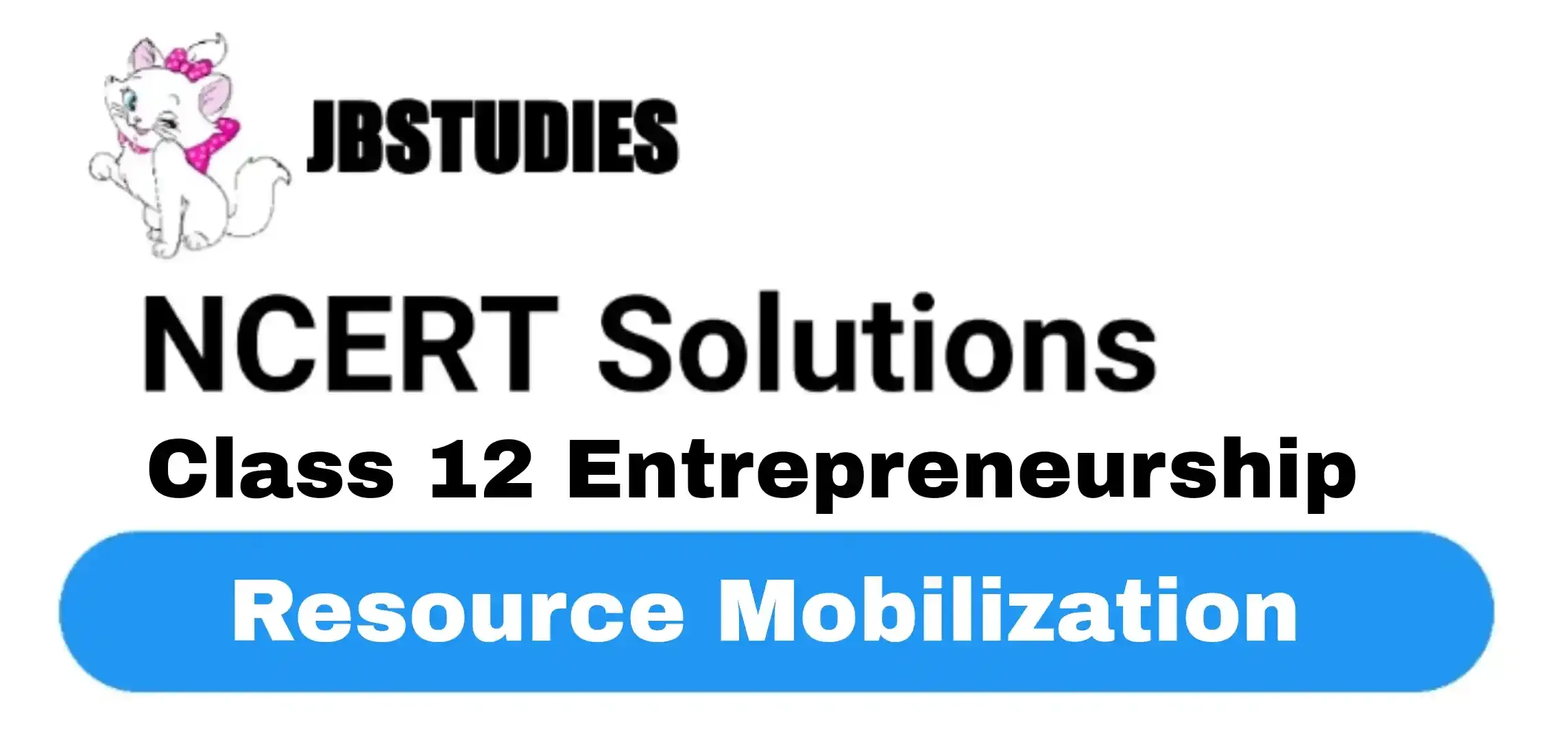 Solutions Class 12 Entrepreneurship Chapter -6 (Resource Mobilization)
