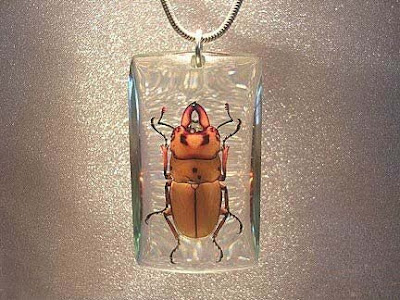 Beautiful Insects jewelry