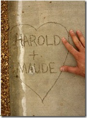harold maude