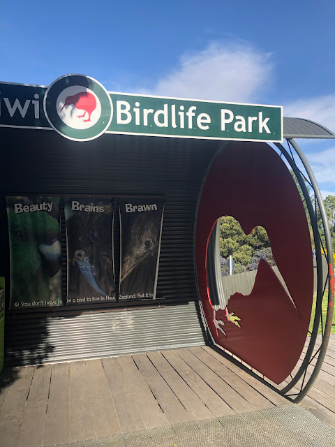 Kiwi Birdlife Park奇異鳥鳥類生態公園