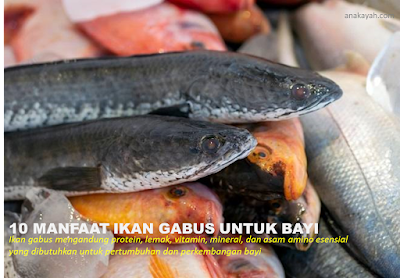 10 manfaat mengkonsumsi Ikan Gabus untuk bayi.