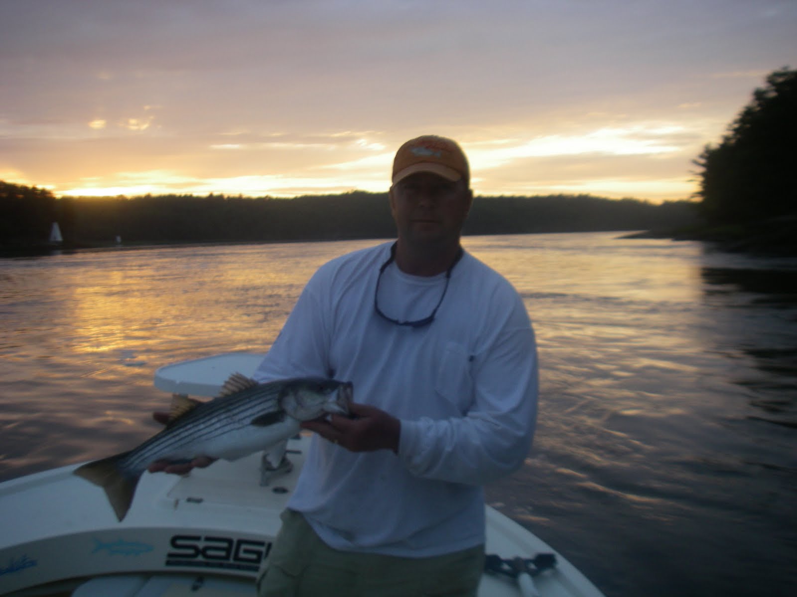 Maine Striper Fishing Charters & Reports Hotline 207691
