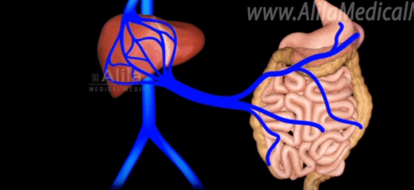 portal-hypertension