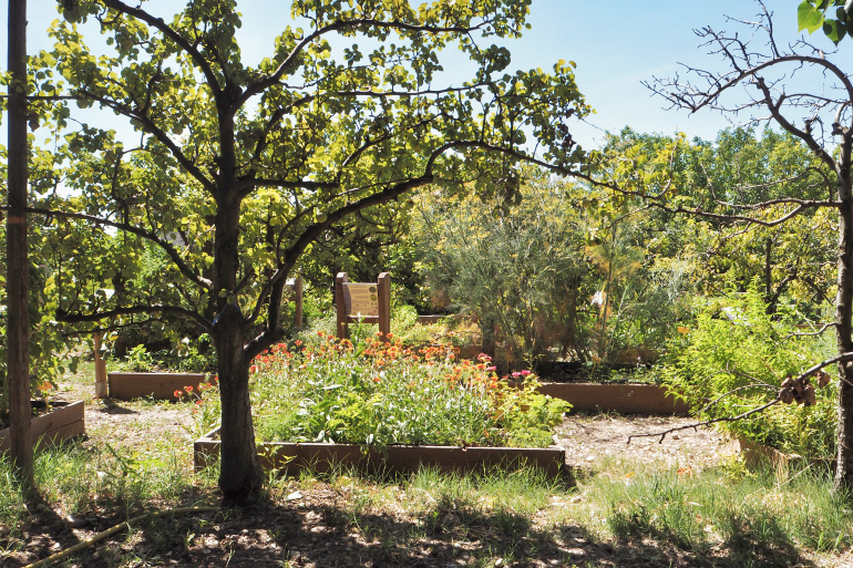 Jardin aromatique du domaine de l'Oiselet