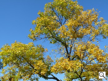 Panasonic Lumix DMC-FZ28