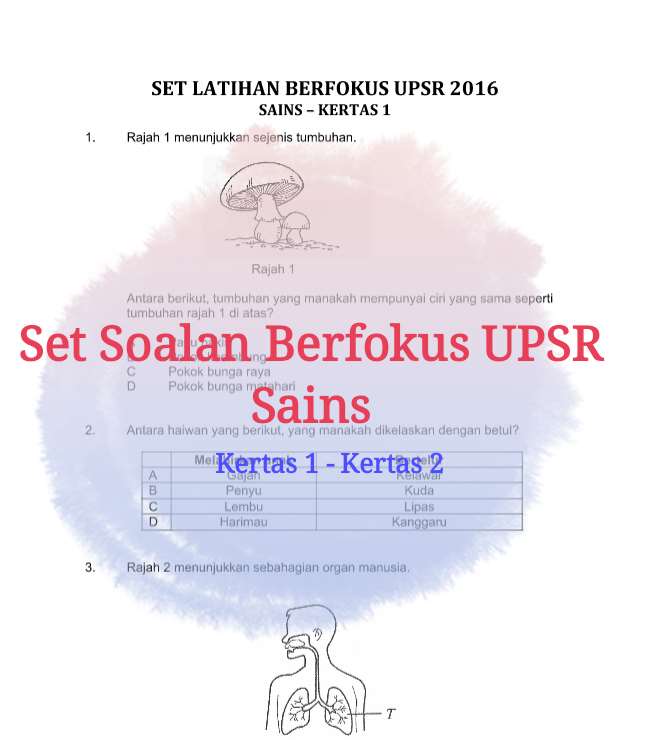 Set Soalan Berfokus Sains∣ Pecutan Akhir UPSR - BAHAN 