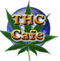  THC Cafe
