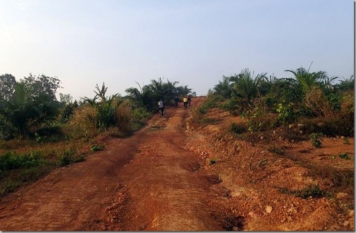 P3060005
