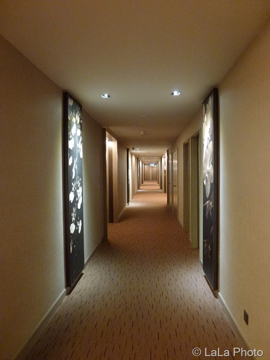 P1020749