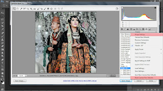 Cara Menggunakan VSCO Film Preset Pada Photoshop