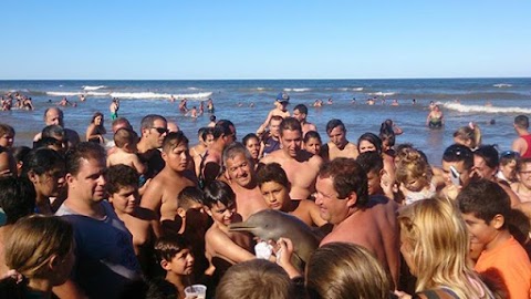 SANTA TERESITA: COBRAN HASTA 50 PESOS LA FOTO CON EL DELFIN MUERTO.