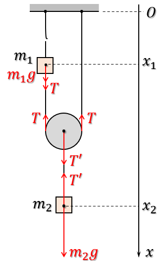 Biểu diễn các lực và tọa độ của các vật