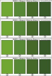 Baru 24+ Warna Hijau Daun, Warna Kaos
