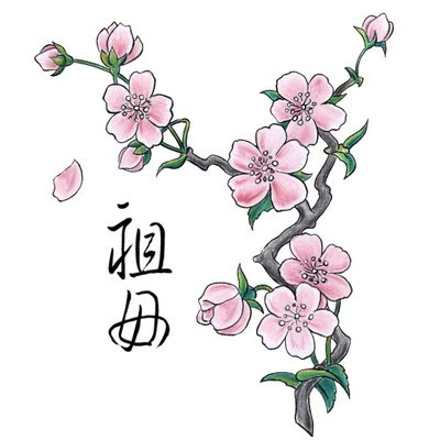 Back Japanese Cherry Blossom Tattoo Designs and Symbol