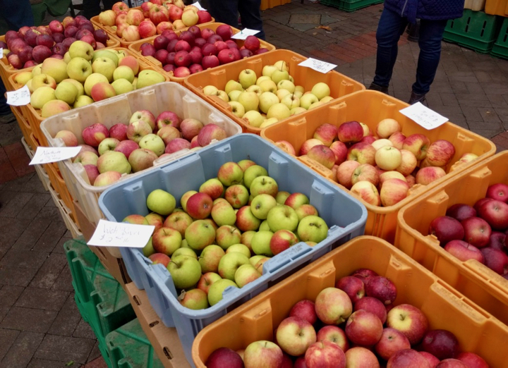 Bins filled with 8 different kinds of apples, red, yellow, orange, green