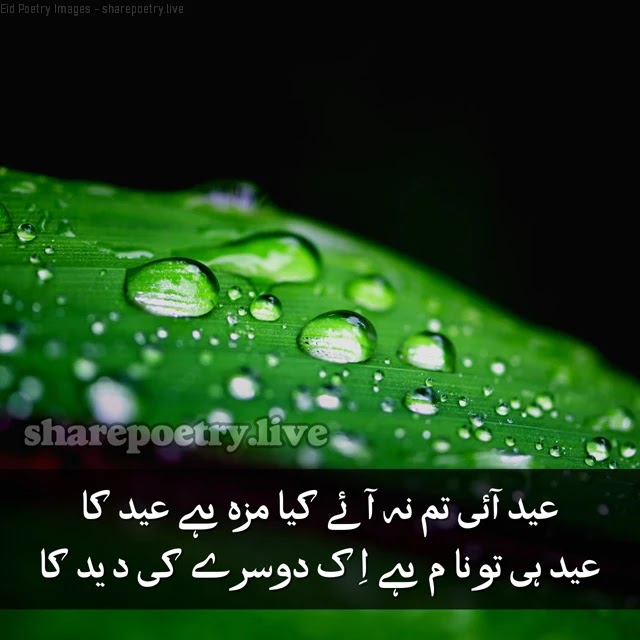 Eid Poetry in Urdu-Eid Sad Poetry-Eid Love Shayari