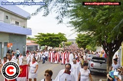 porcisão 036