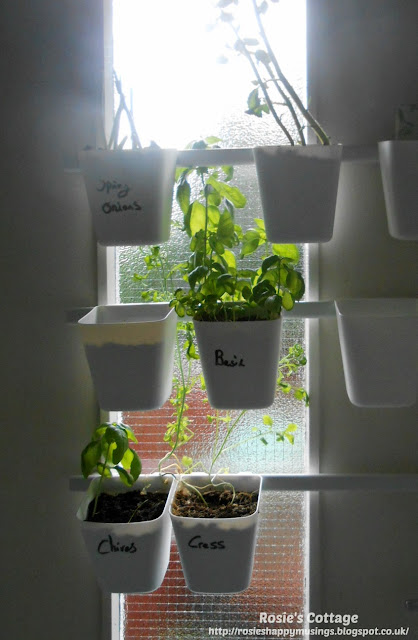 6 new Ikea products I love: Much loved SUNNERSTA rails and containers are now a perfect mini garden for our herbs.