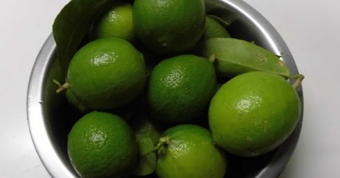 四季成り果樹園芸 ライムを収穫 Tahiti Lime