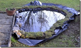 pond 25