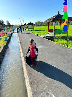 sawah lope desa cikaso kuningan