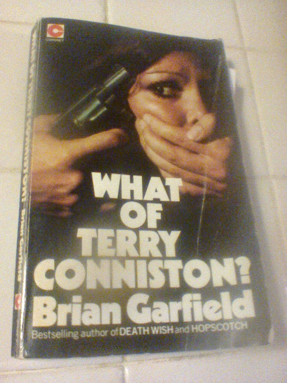 Col S Criminal Library Brian Garfield What Of Terry