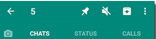 Cara Mute/Membisukan Chat WhatsApp  5