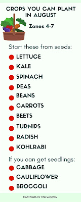 10 crops to plant in august infographic.