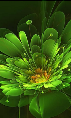 Abstract Flowers HD Wallpaper