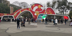 Panda in Sichuan @ Chengdu Research Base of Giant Panda Breeding 成都大熊猫繁育研究基地 🐼