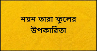 নয়ন তারা ফুলের উপকারিতা