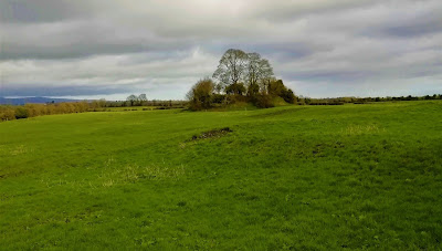 Aghaboe Abbey