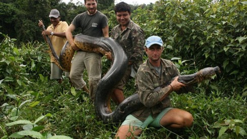  Anaconda Gigante Encntrada Em Caverna