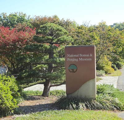 National Bonsai and Penjing Museum