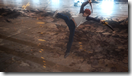 Fate Stay Night - Unlimited Blade Works - 20.mkv_snapshot_05.42_[2015.05.25_18.50.12]