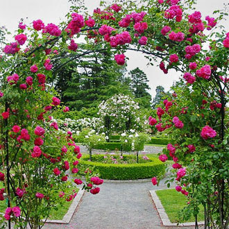 -rose-gardens-in-Britain.