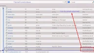 Contoh Dari Apache Web Server Adalah