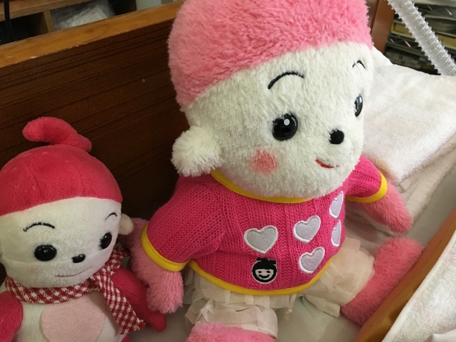 山とランニングの日記 プリモプエルに服着せてみました
