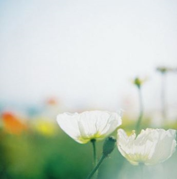 clip_image004