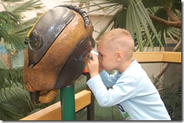 Natural History Museum 2011 056