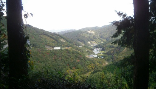 PB240005.JPG