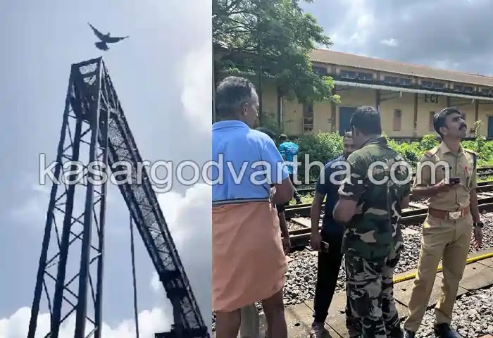 Collector, Nileswaram, Malayalam News, Kerala News, Kasaragod News, District Collector Kasaragod, Crow rescued after being trapped in iron cage.