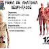 UESPI-Facoe em Parnaíba realiza Feira de Anatomia dia 12 de novembro
