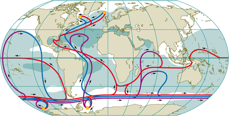 Corrientes oceánicas. Las corrientes actúan como cintas transportadoras que permiten las migraciones de muchos seres vivos, tanto en el océano como en el aire. El fuego